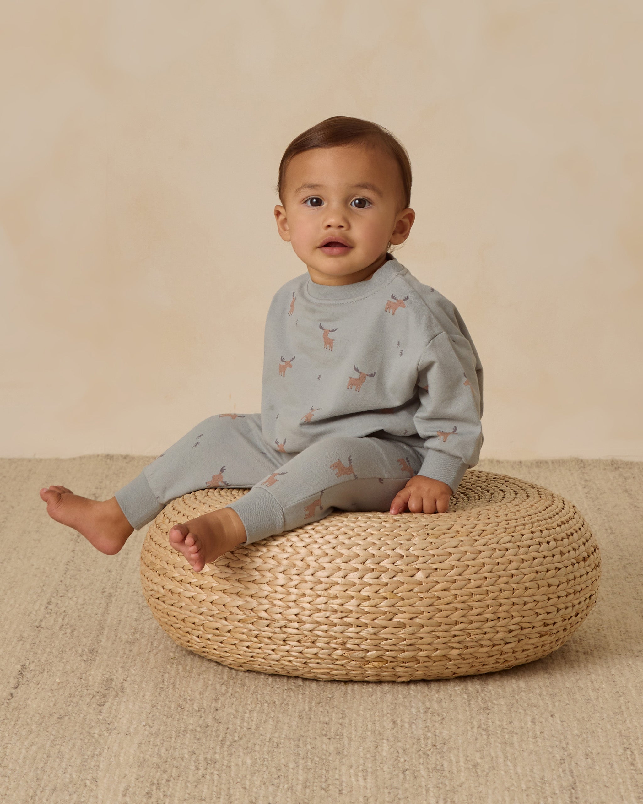 Relaxed Sweatshirt || Moose