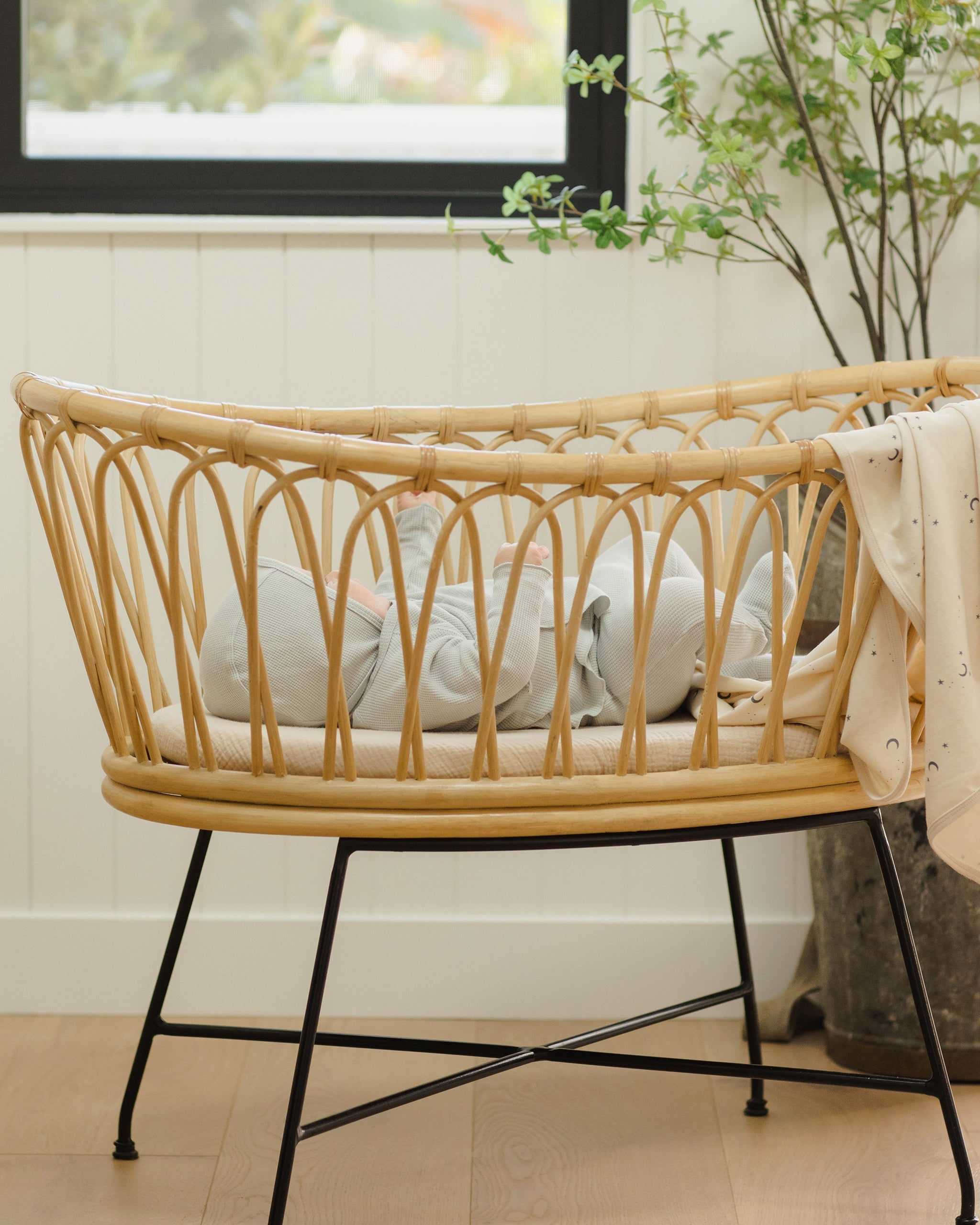 Take Home Set || Ice Blue