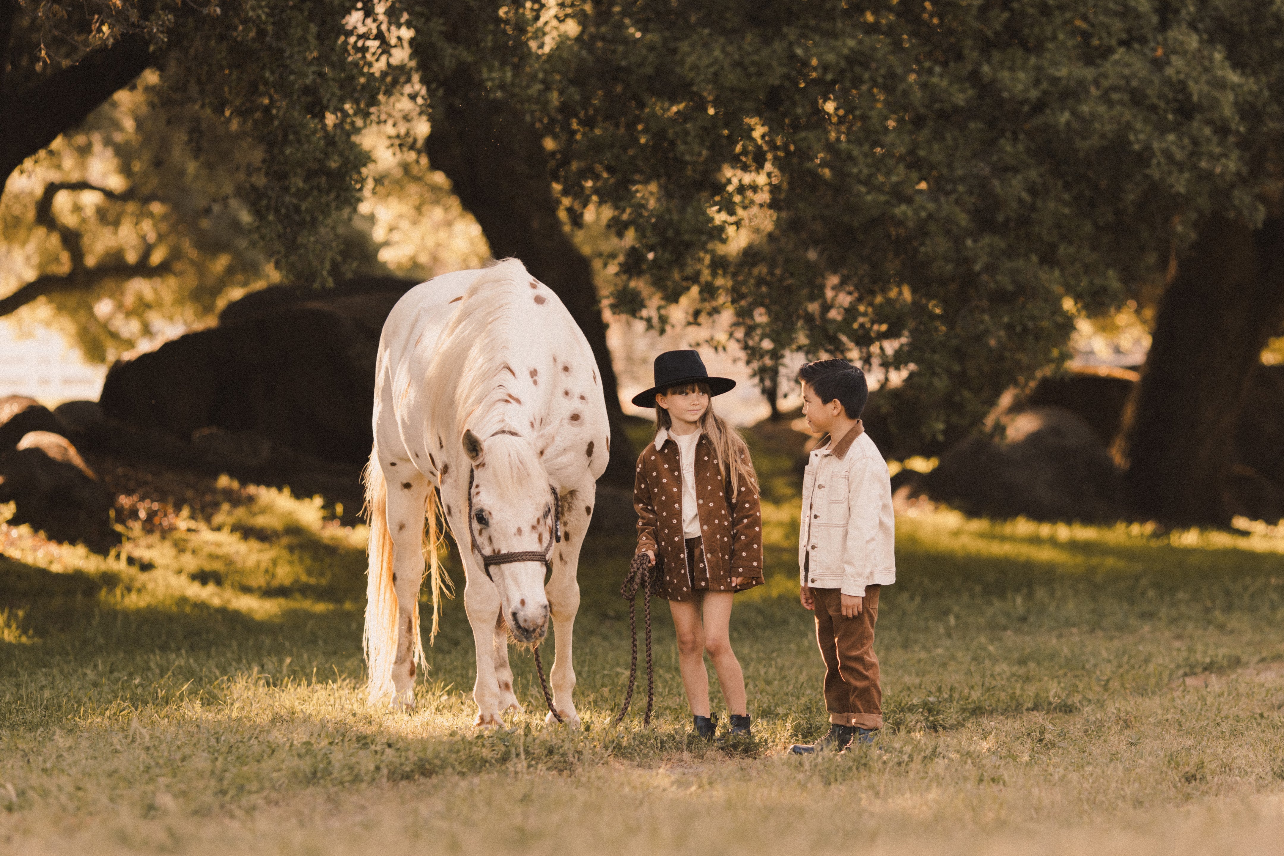 Rylee + Cru - AW24 All