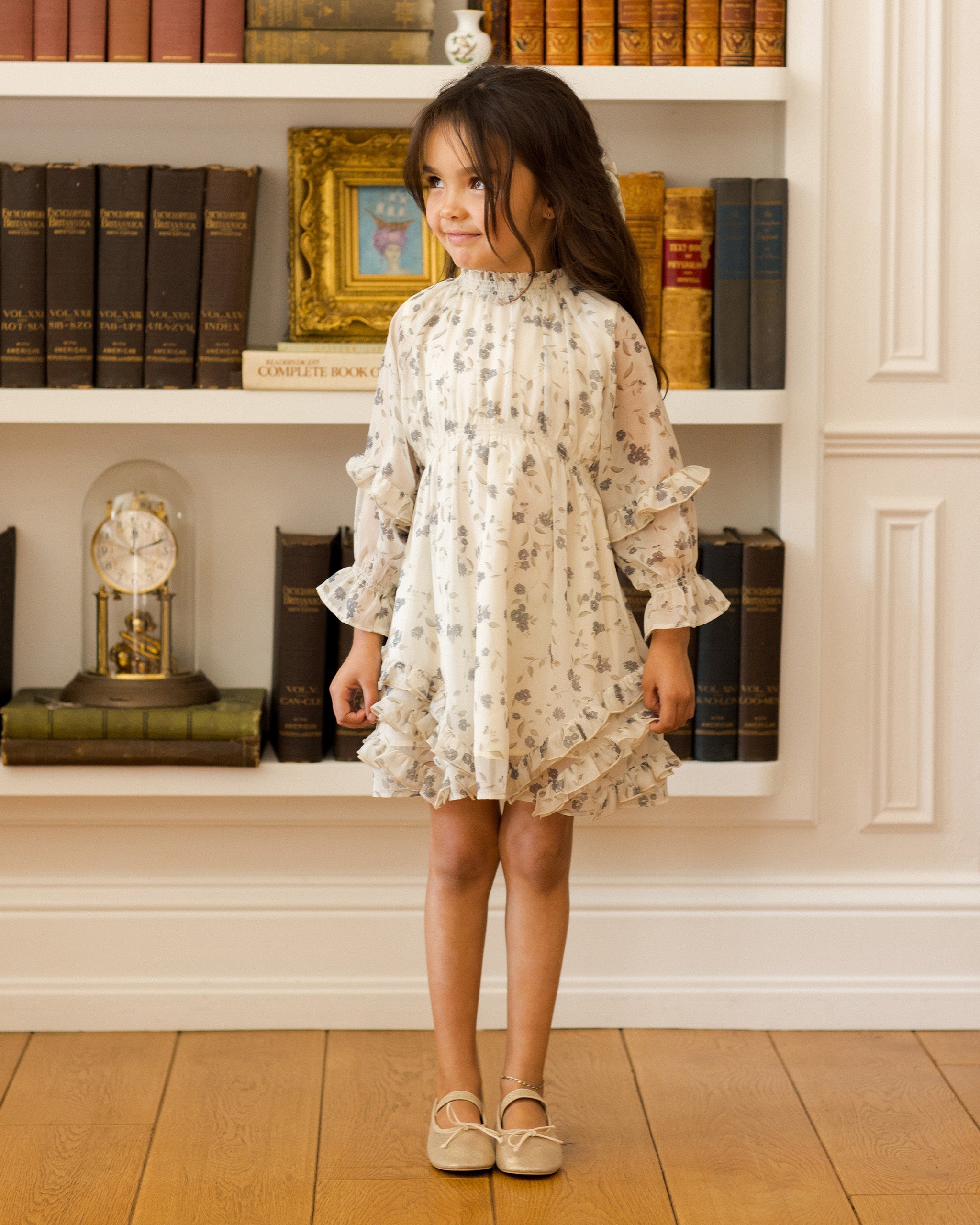 Mirabelle Dress | Winter Vines