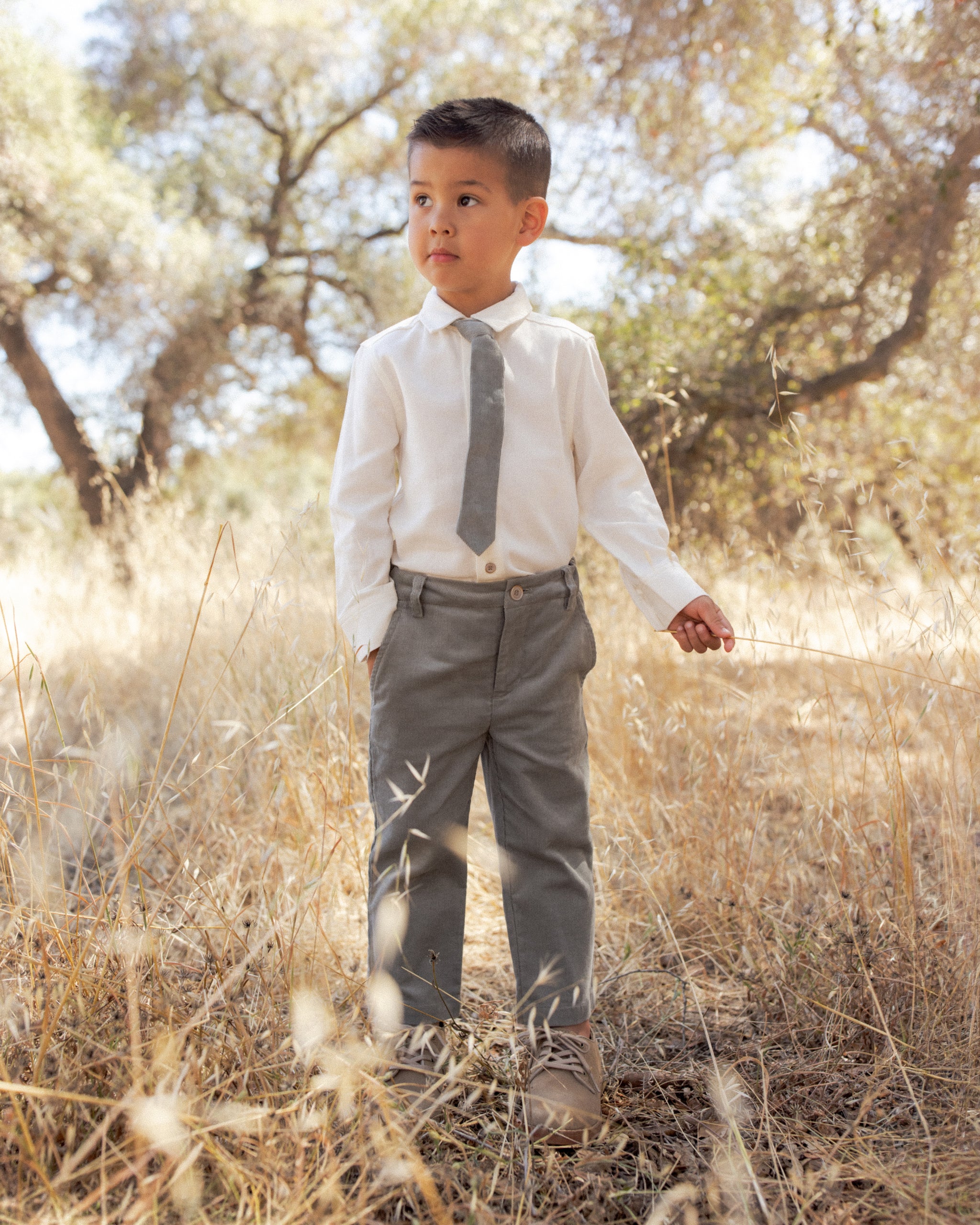 Harrison Button Down Ivory Cotton