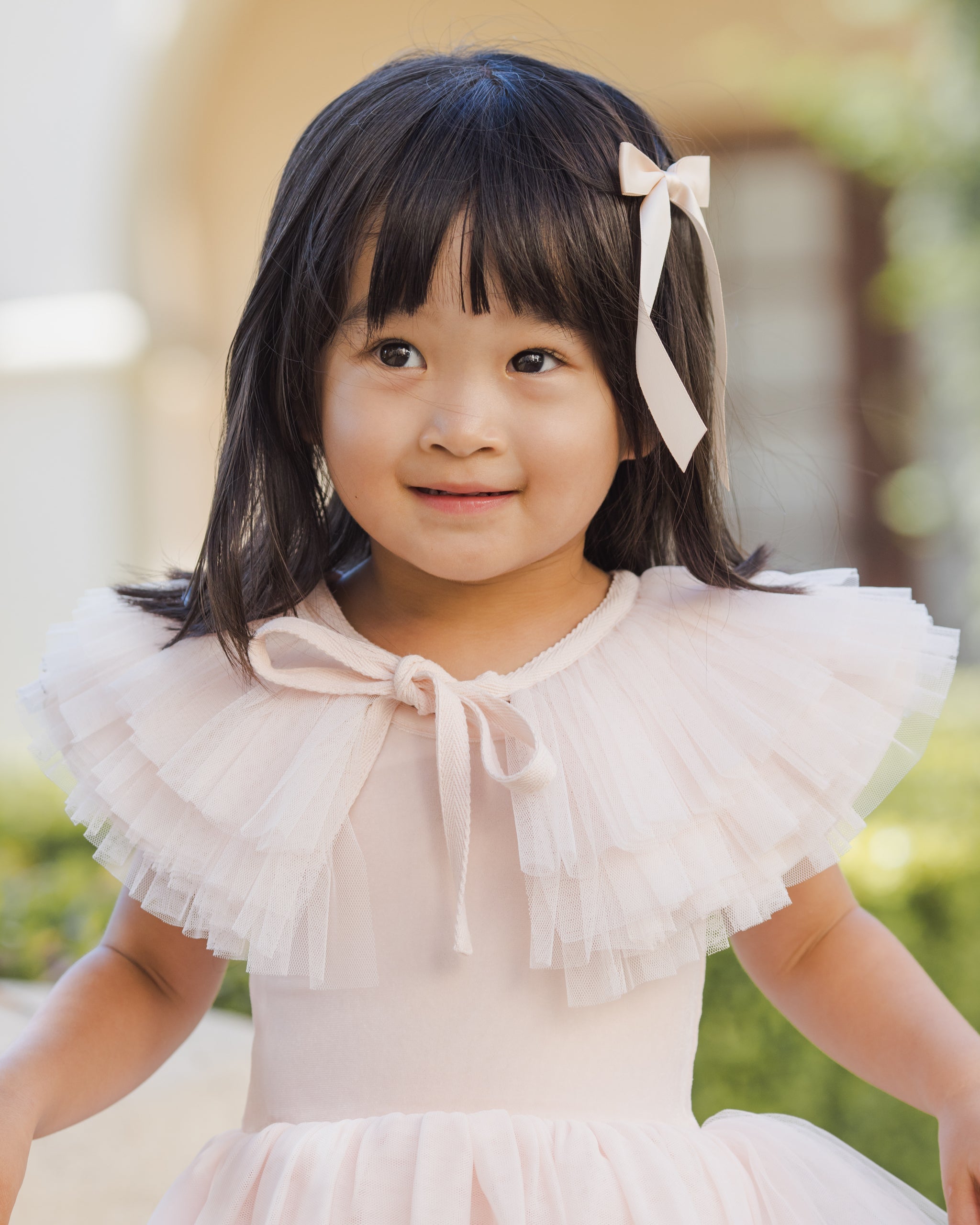 Ruffle Tulle Collar Blush
