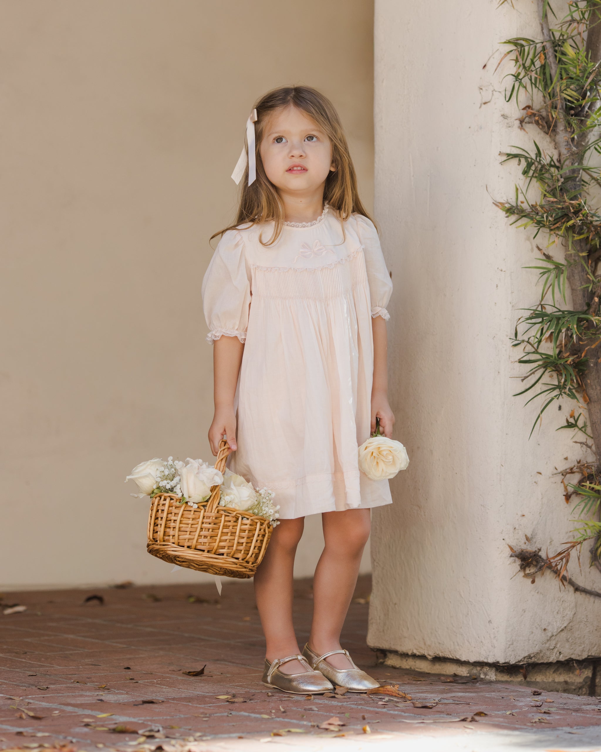 Penelope Dress Blush