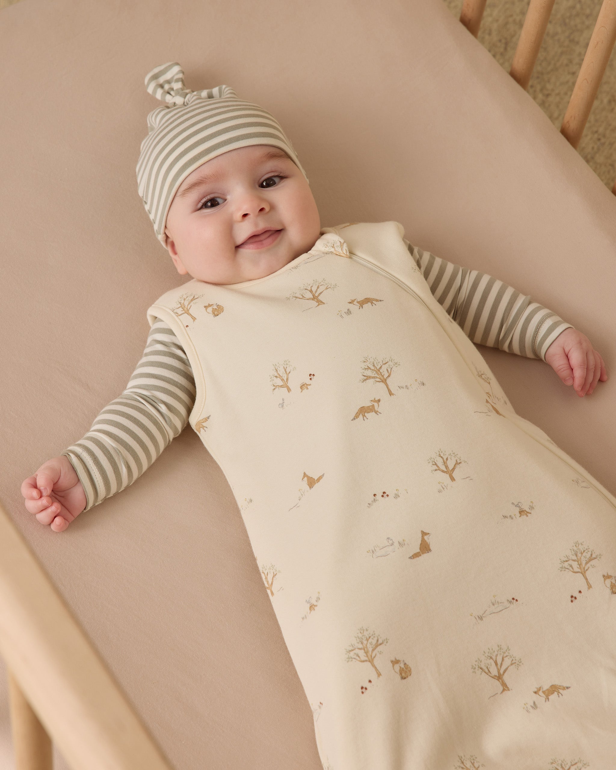 Jersey Bodysuit, 2 Pack || Fox Land, Fern Stripe