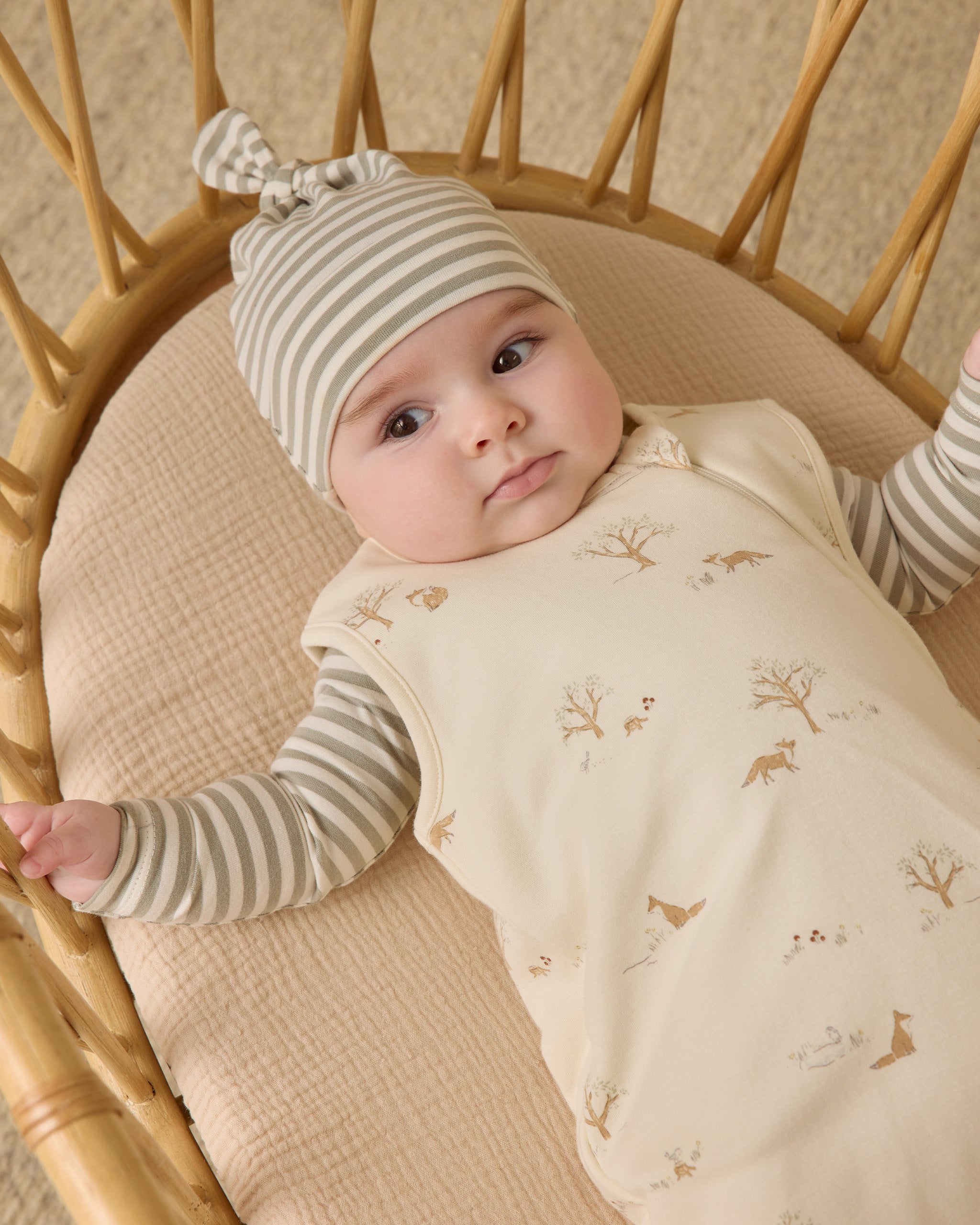Jersey Bodysuit, 2 Pack || Fox Land, Fern Stripe