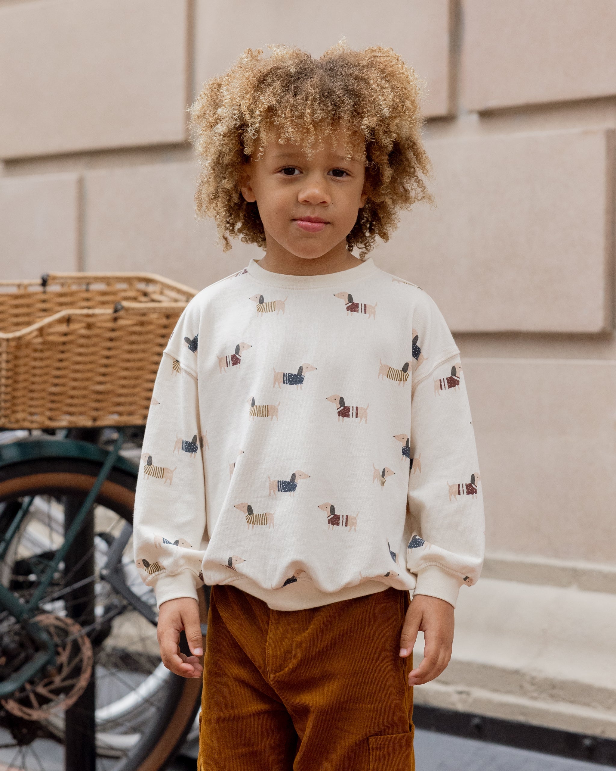 Relaxed Sweatshirt || Dachshund