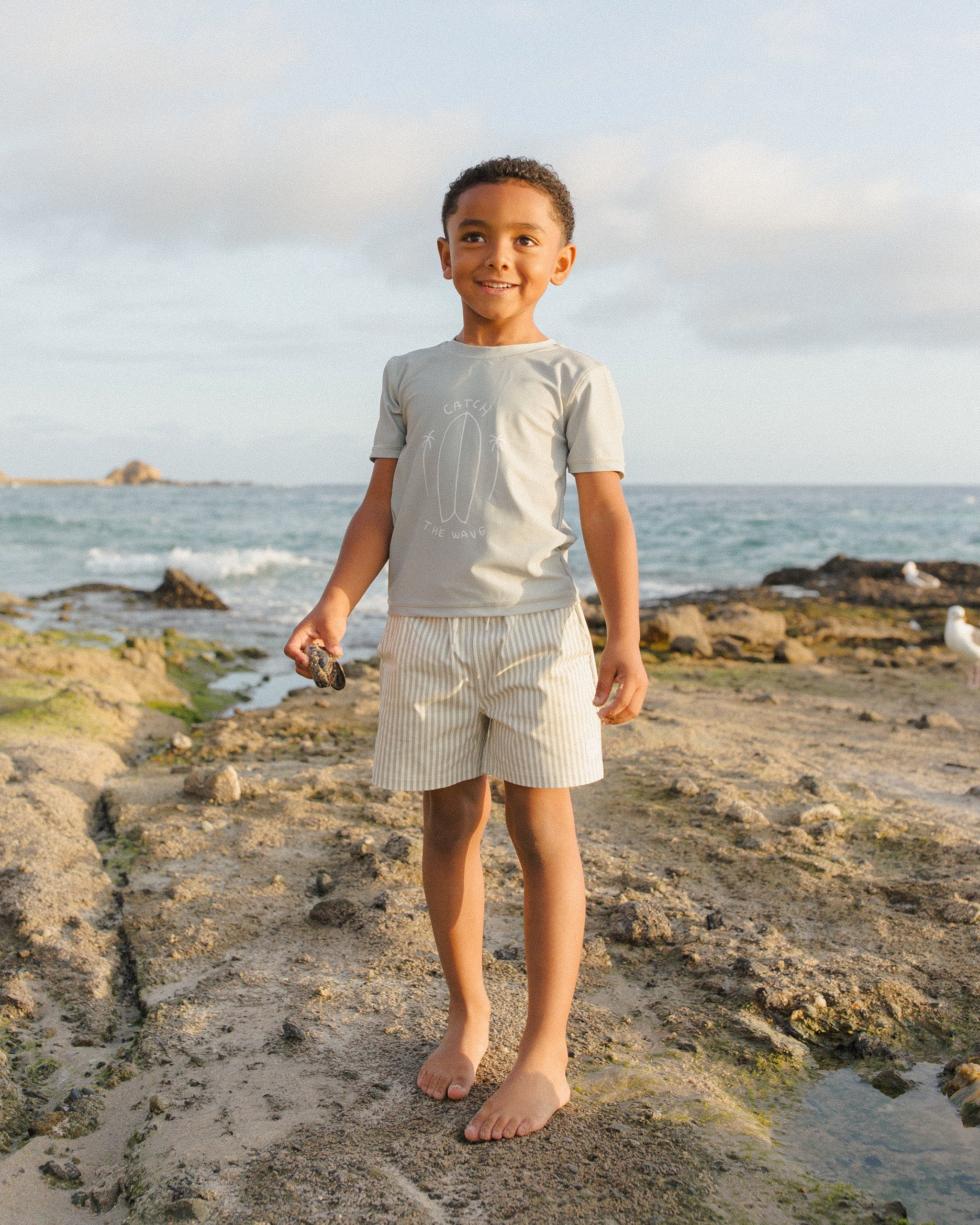 Boardshort || Sage Stripe