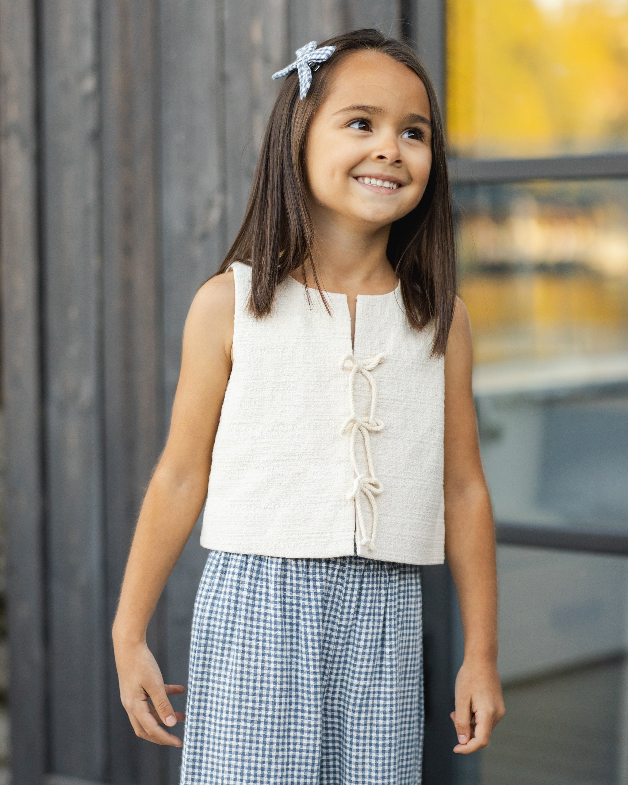 Bows, Set Of 2 Marine Gingham