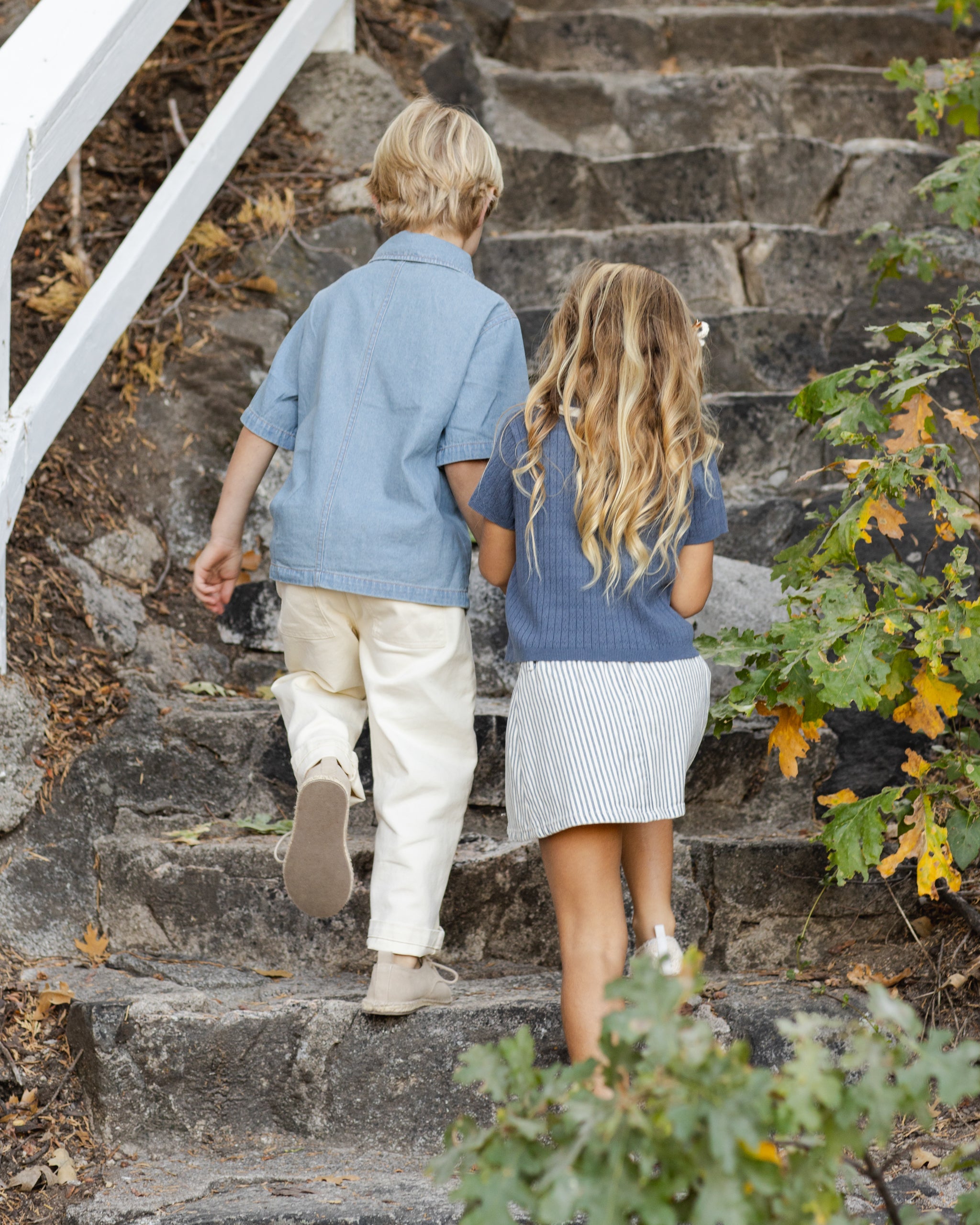 Pleated Denim Skirt Railroad Stripe