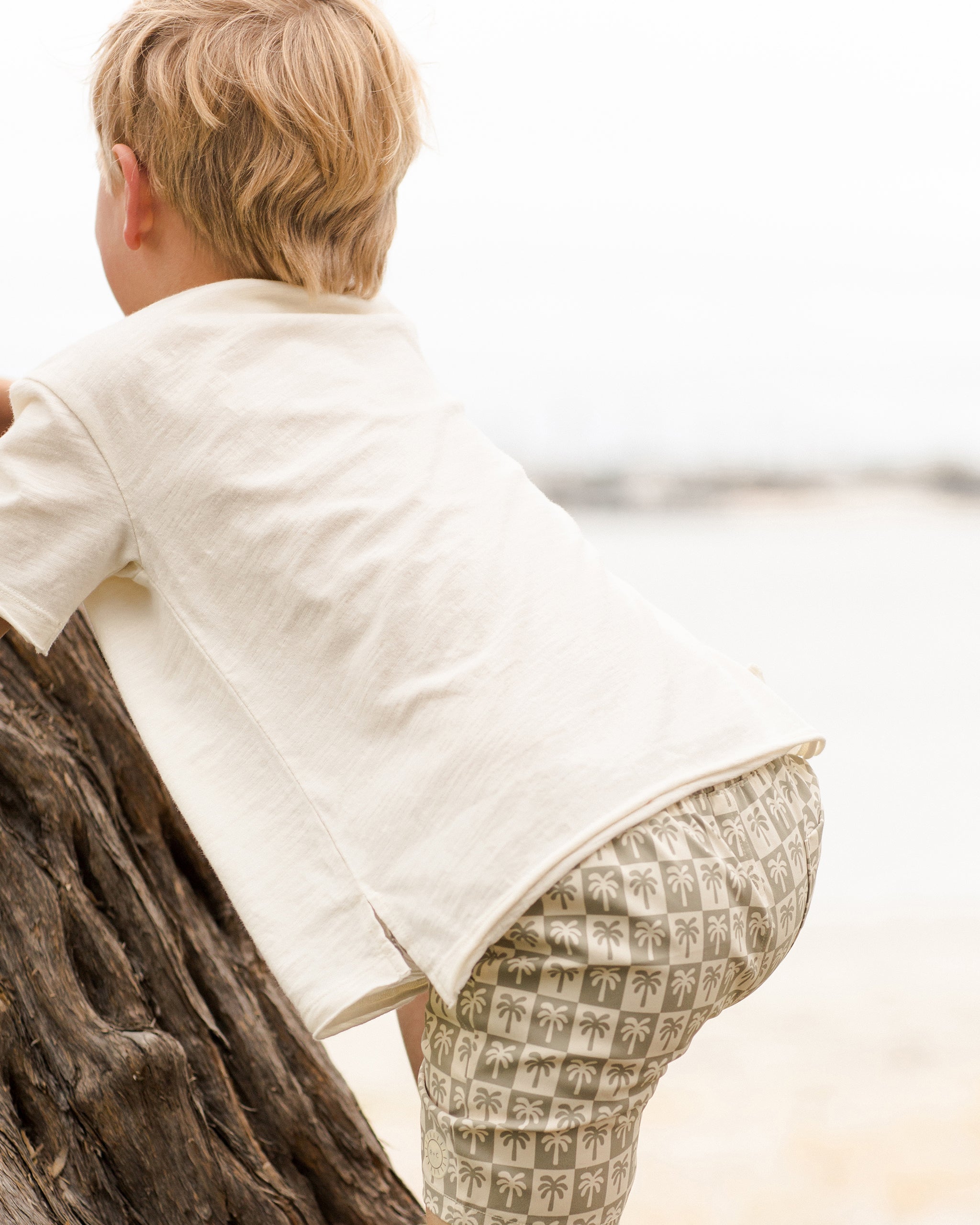 Boardshort || Palm Check