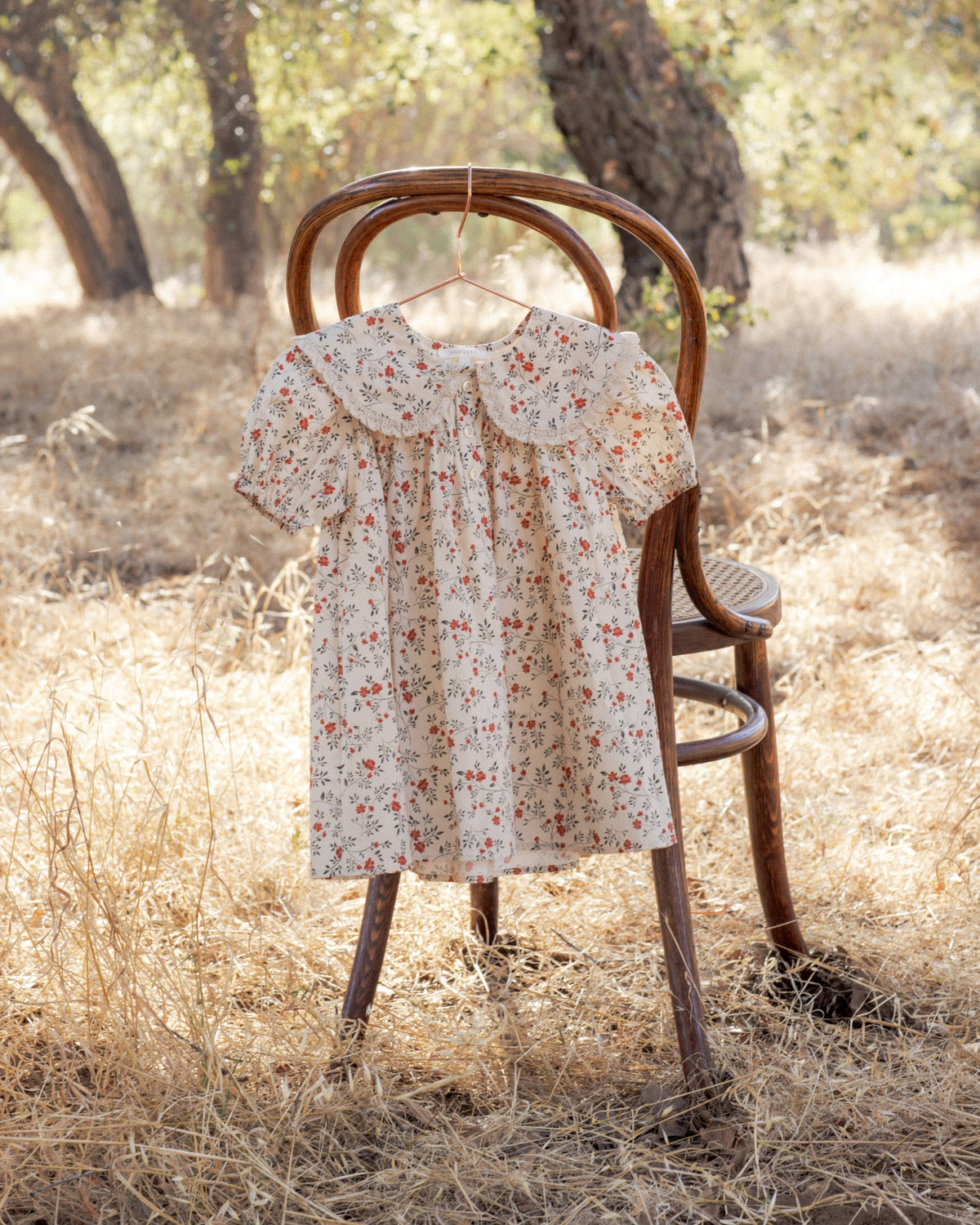 Lori Dress Holly Vines